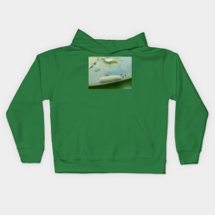 Caterpillar on a Lilypad Kids Hoodie